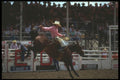 331088 Saddle Bronc A4 Photo Print