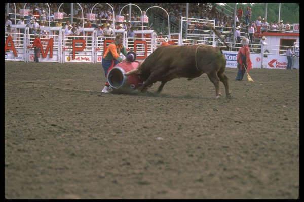 331090 Rodeo Clowns A4 Photo Print