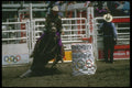 331092 Ladies Barrel Racing A4 Photo Print