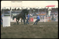 331093 Horse Racing A4 Photo Print