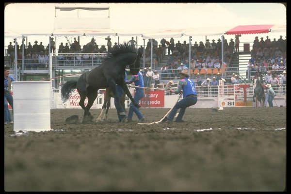 331093 Horse Racing A4 Photo Print