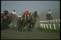 331094 Chuckwagon A4 Photo Print