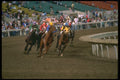 331095 Horse Racing A4 Photo Print