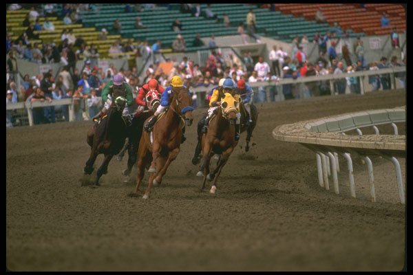 331095 Horse Racing A4 Photo Print