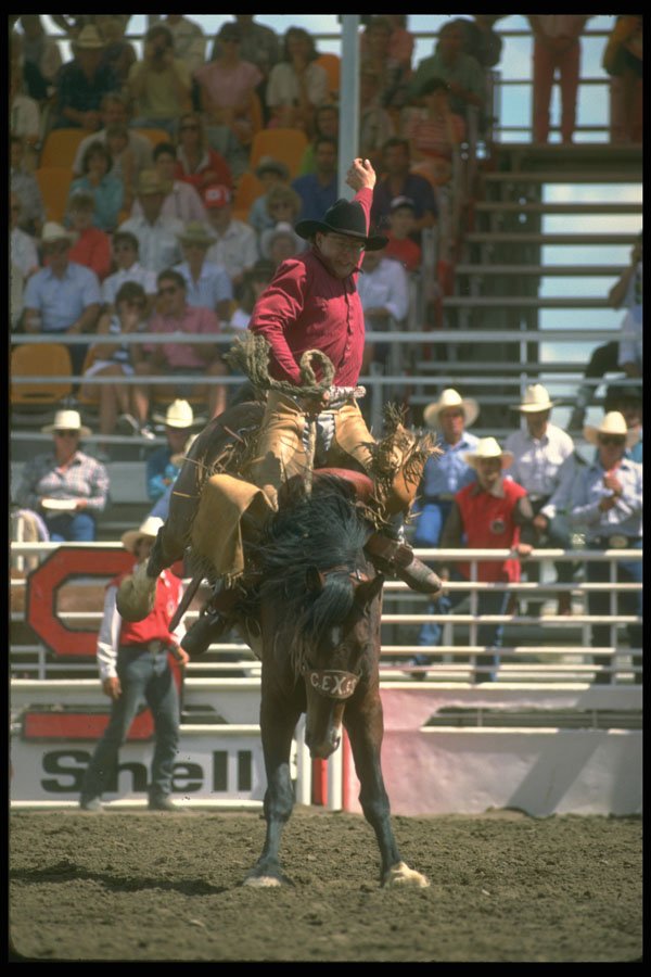 331099 Saddle Bronc A4 Photo Print