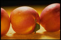 332004 Nectarine Trio A4 Photo Print