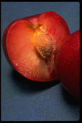 332005 Red Plum, Halved A4 Photo Print