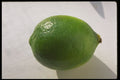 332016 Whole Lime A4 Photo Print