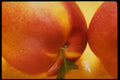 332018 Orange Red Nectarine A4 Photo Print
