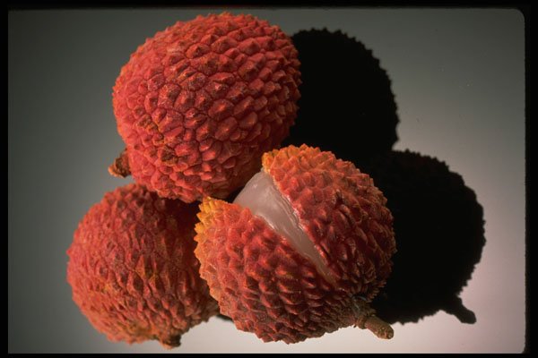 332020 Litchi Fruit A4 Photo Print