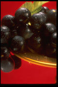 332024 Purple Grapes A4 Photo Print