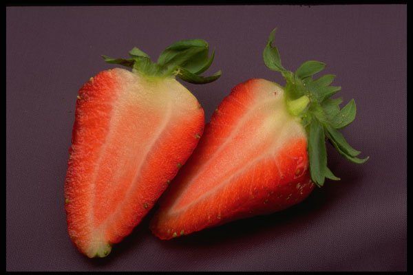 332025 Strawberry Centers A4 Photo Print