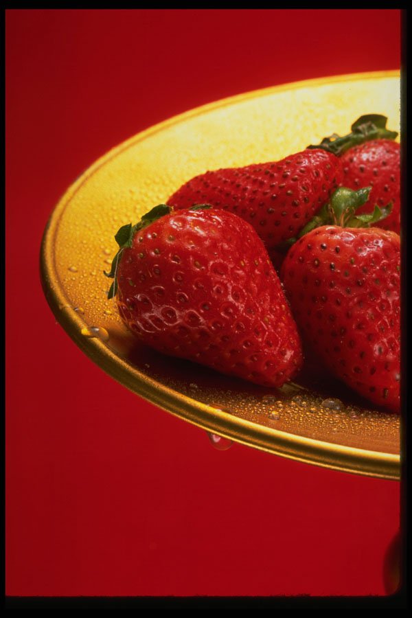332028 Severed Up Golden A4 Photo Print