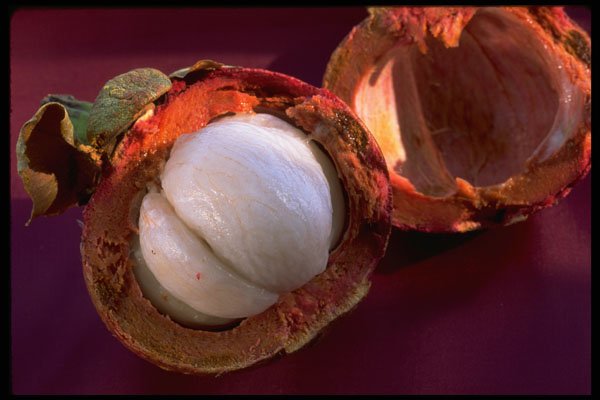 332029 Open Mangosteen A4 Photo Print