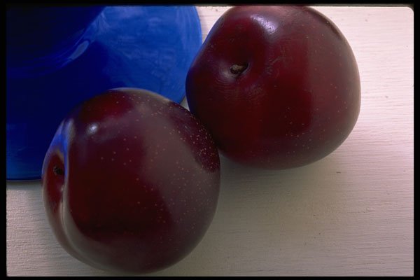 332033 Plums A4 Photo Print