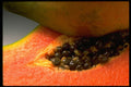 332040 Mango Middle A4 Photo Print