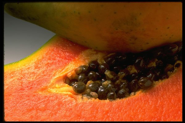332040 Mango Middle A4 Photo Print