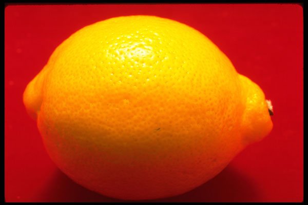 332042 Lemon Red A4 Photo Print