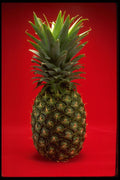 332044 Whole Pineapple A4 Photo Print