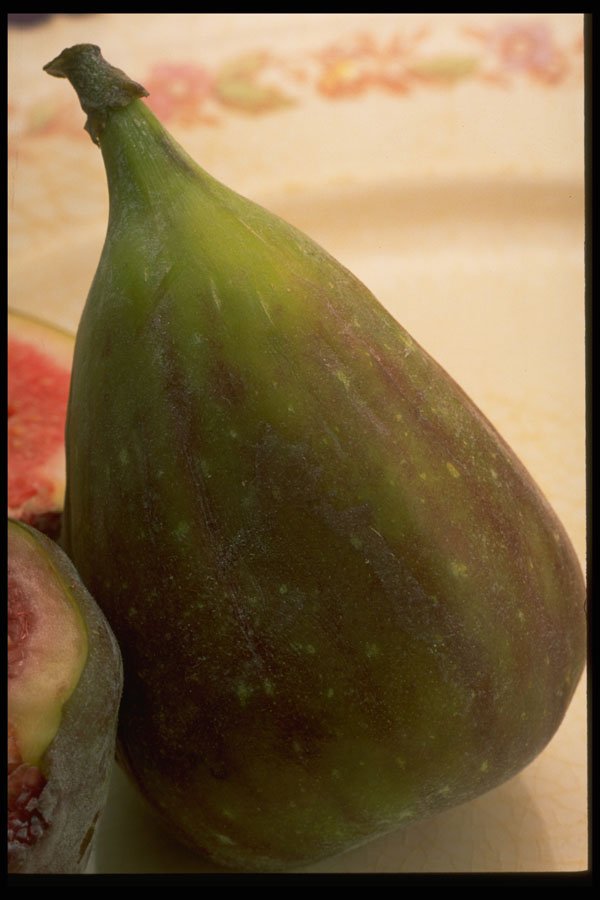 332048 Fresh Fig A4 Photo Print