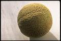 332050 Whole Cantaloupe A4 Photo Print