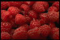 332051 Raspberries A4 Photo Print