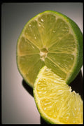 332052 Sour Lime A4 Photo Print