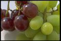 332053 Purple & Green Grapes A4 Photo Print