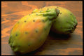332056 Cactus Pear A4 Photo Print