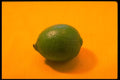 332065 Lime Green A4 Photo Print