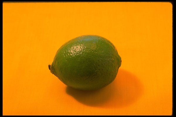 332065 Lime Green A4 Photo Print