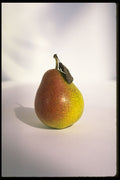 332067 Burnished Pear A4 Photo Print