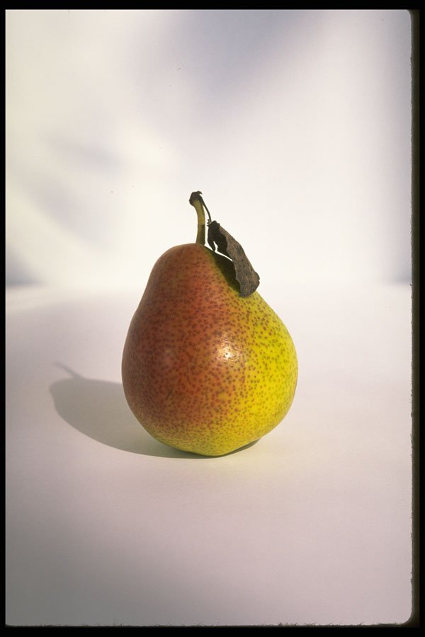 332067 Burnished Pear A4 Photo Print