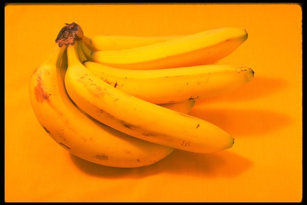 332070 Yellow Banana Bunch A4 Photo Print