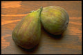 332071 Tender Fig A4 Photo Print