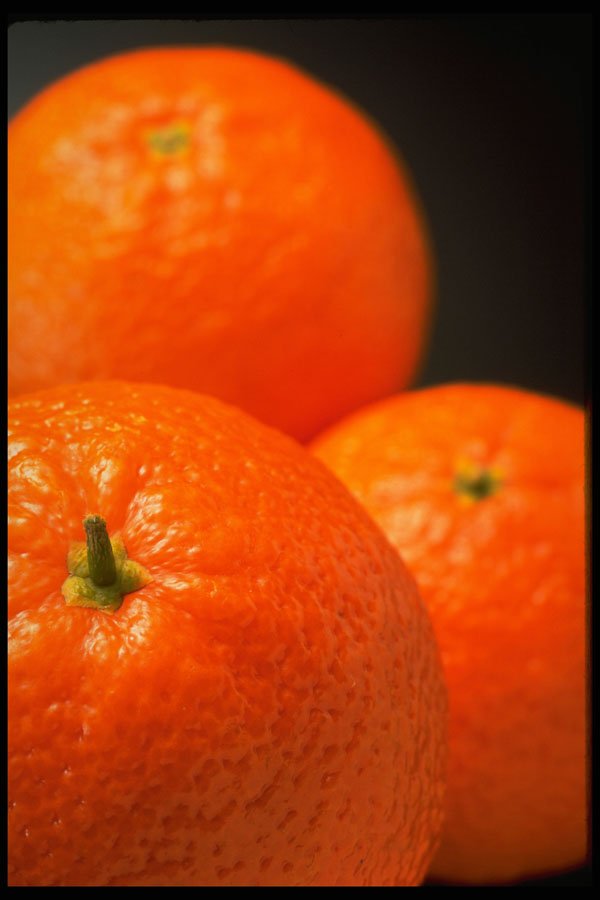 332075 Orange Trio A4 Photo Print