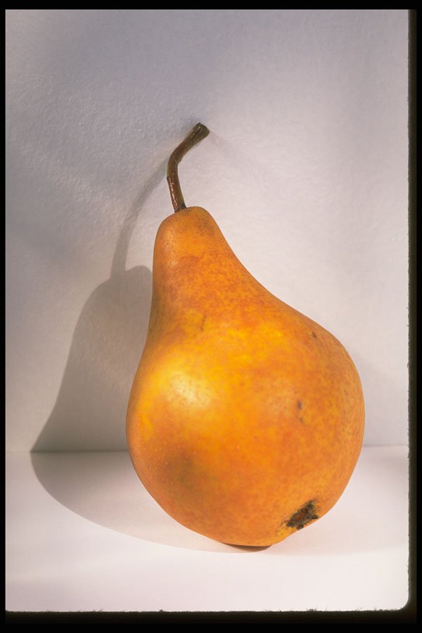 332083 Pear Perfect A4 Photo Print