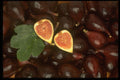 332086 Fig Leaf A4 Photo Print