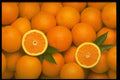 332089 Orange Halves A4 Photo Print