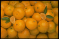 332097 Tangy Tangerine A4 Photo Print