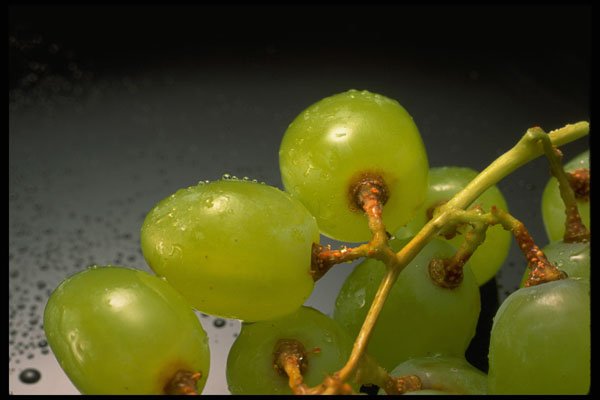 332098 Sprig Of Grapes A4 Photo Print