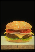 333011 Hamburger A4 Photo Print
