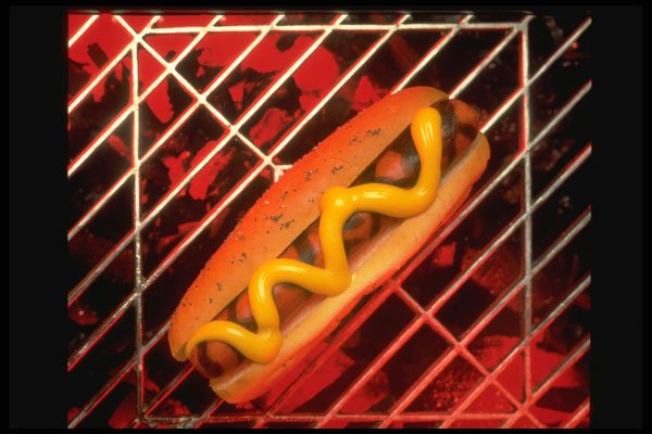 333013 Hot Dog On Barbecue A4 Photo Print