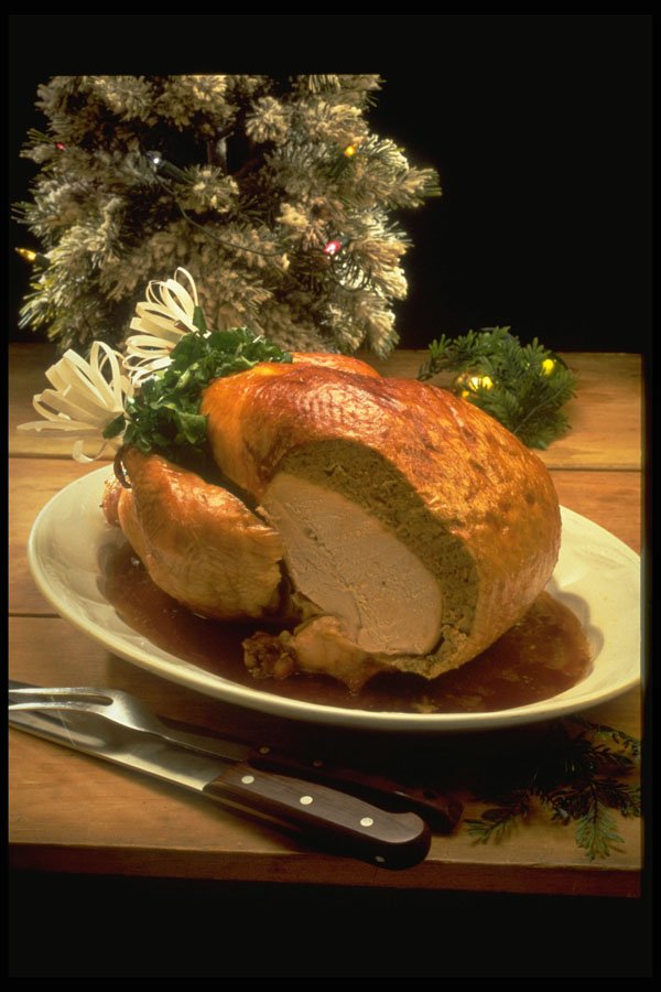 333023 Stuffed Turkey A4 Photo Print
