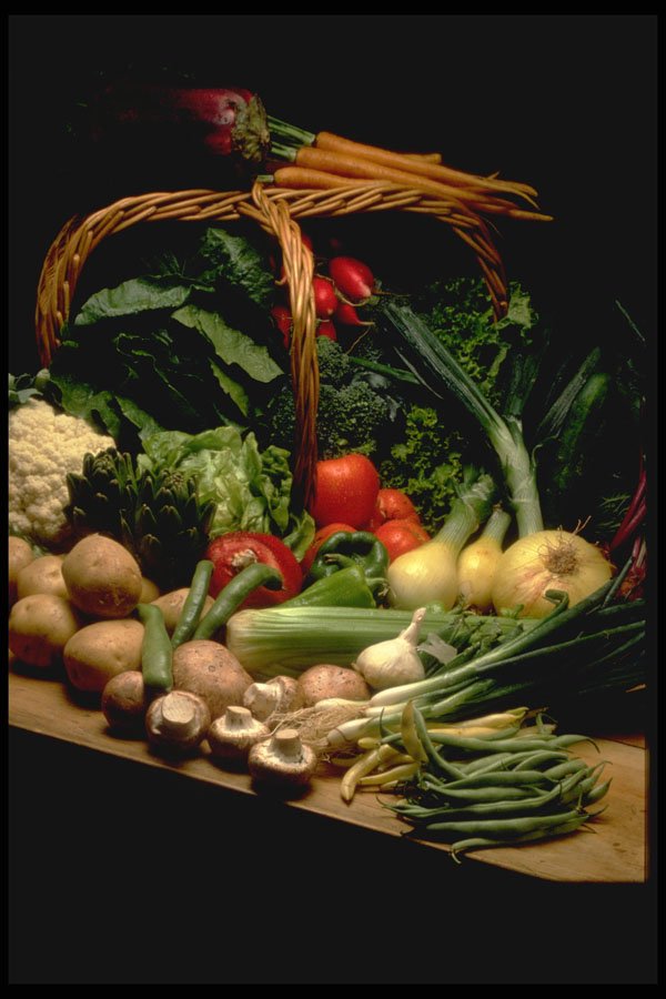 333037 Diet Salads A4 Photo Print