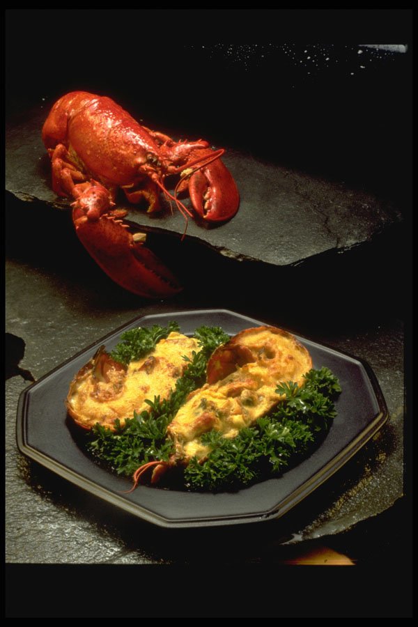 333045 Lobster Thermodor A4 Photo Print