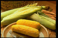 333072 Corn On The Cob A4 Photo Print