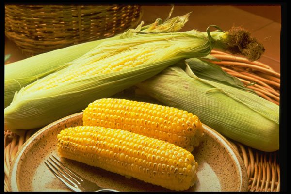 333072 Corn On The Cob A4 Photo Print