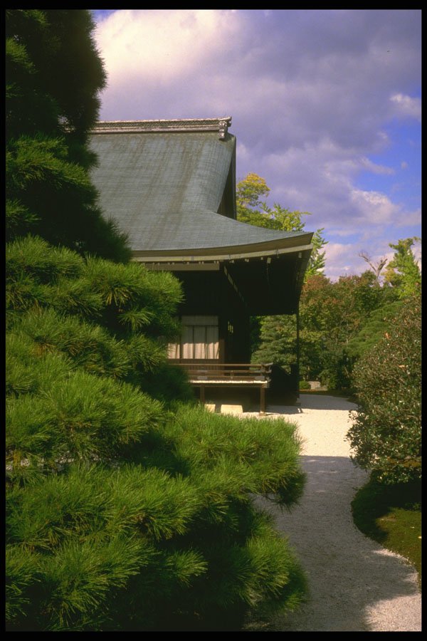 334007 Traditional Roofed Building A4 Photo Print