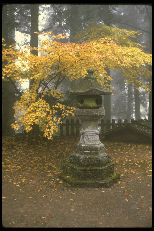 334008 Nikko lantern Shrouded In Mist With Yellow Leaves A4 Photo Print